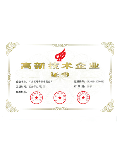 滨崎-高新技术企业证书